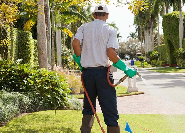 About Leawood KS Pest Control